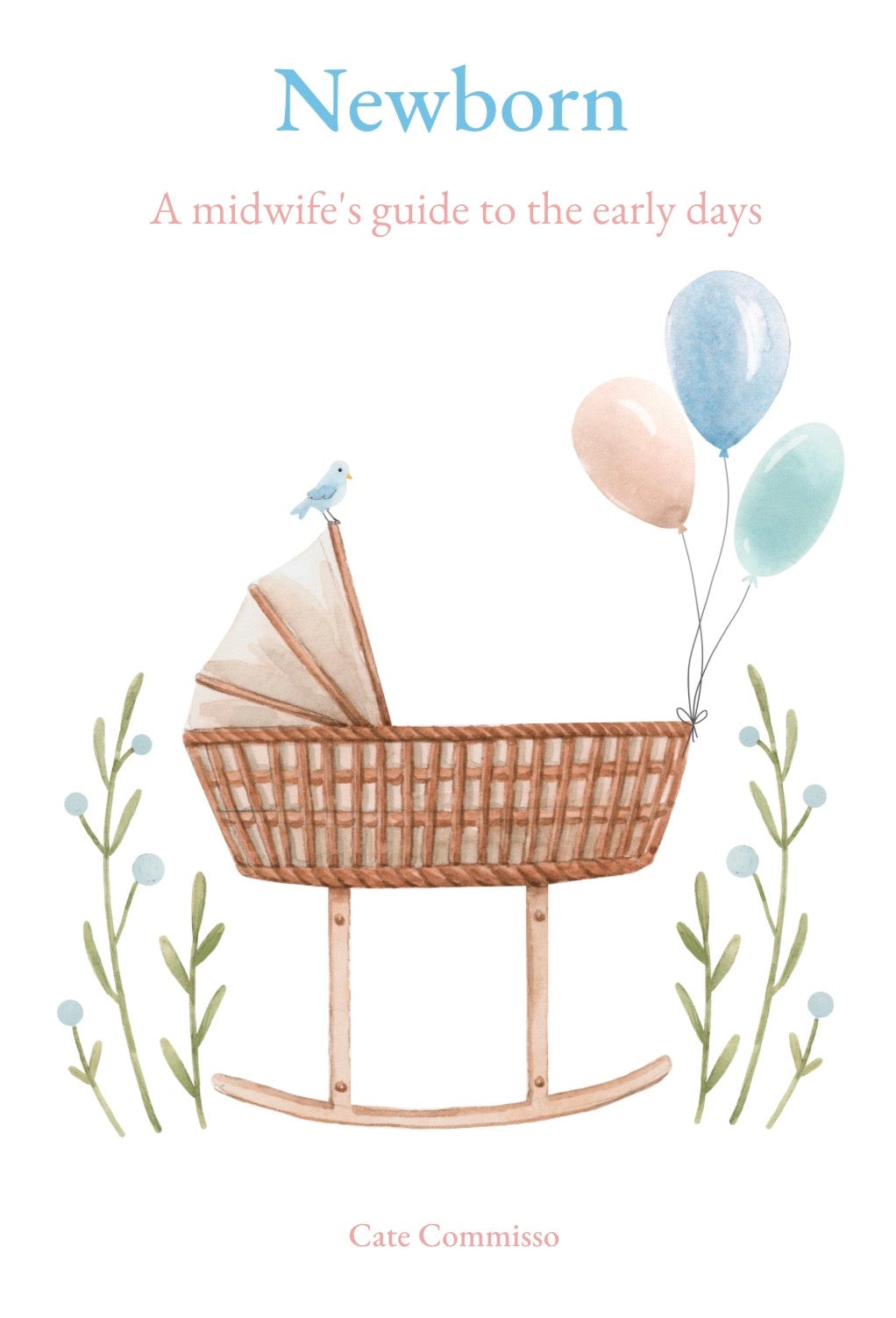 'Newborn: A midwife's guide to the early days' - E-Book